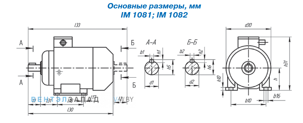 Присоединительные размеры IM1081