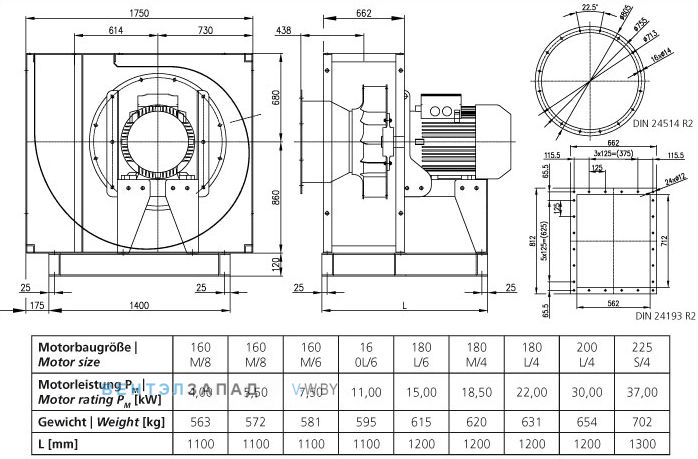 Чертеж и исполнениеы Elektror CFM 710 центробежный